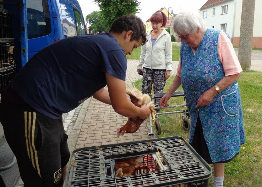 Margitta Stahn in Schöneicho bekommt neue Hühner.