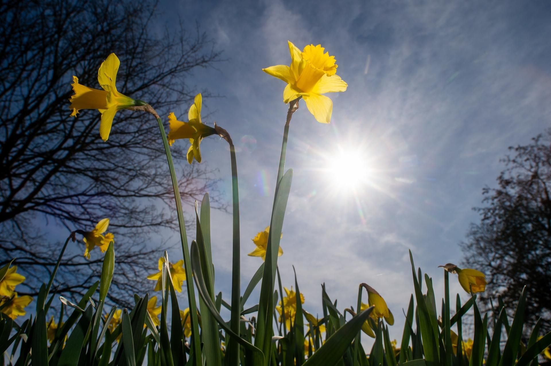 Selbst im Harz werden nächste Woche Temperaturen bis zu 24 Grad erwartet.