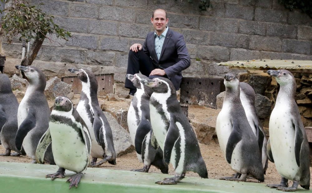Dennis Müller ist Direktor des halleschen Bergzoos - und hat viel vor mit dem Tierpark.