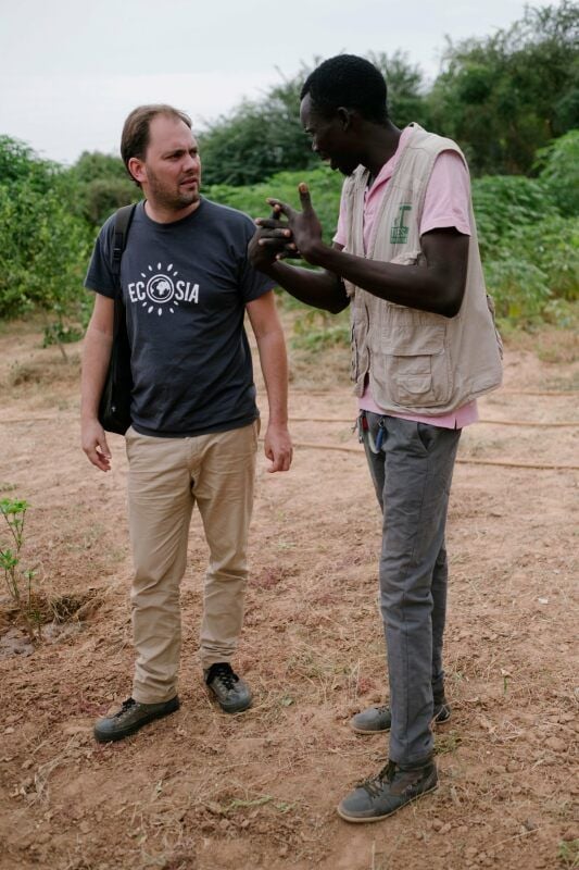 Die Internetsuchmaschine Ecosia unterstützt weltweit Aufforstungsprojekte wie hier im Senegal.