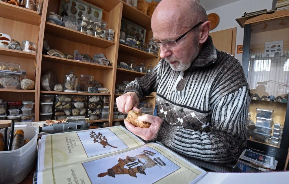 Reinhard Bobeth schnitzte sein Leben lang leidenschaftlich gern. Heute dokumentiert er sein Lebenswerk. Im Regal stehen seine Fossilien.