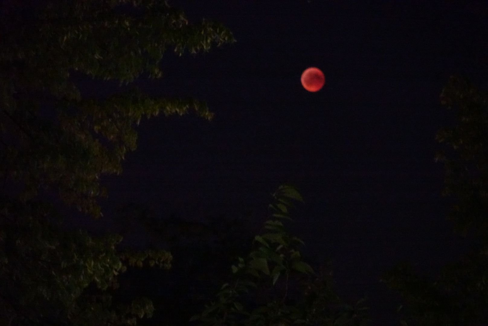 Der Mond über Halle.