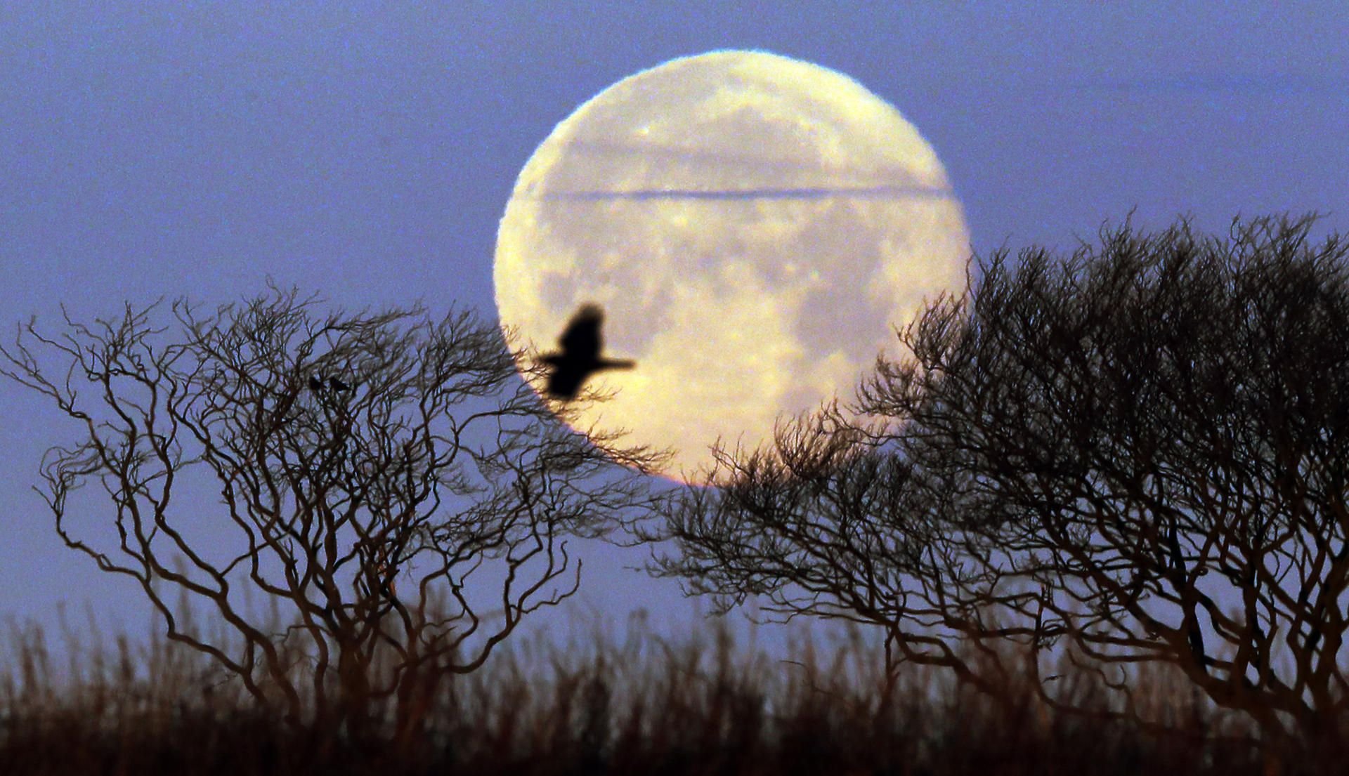 Supermond im Dezember 2017