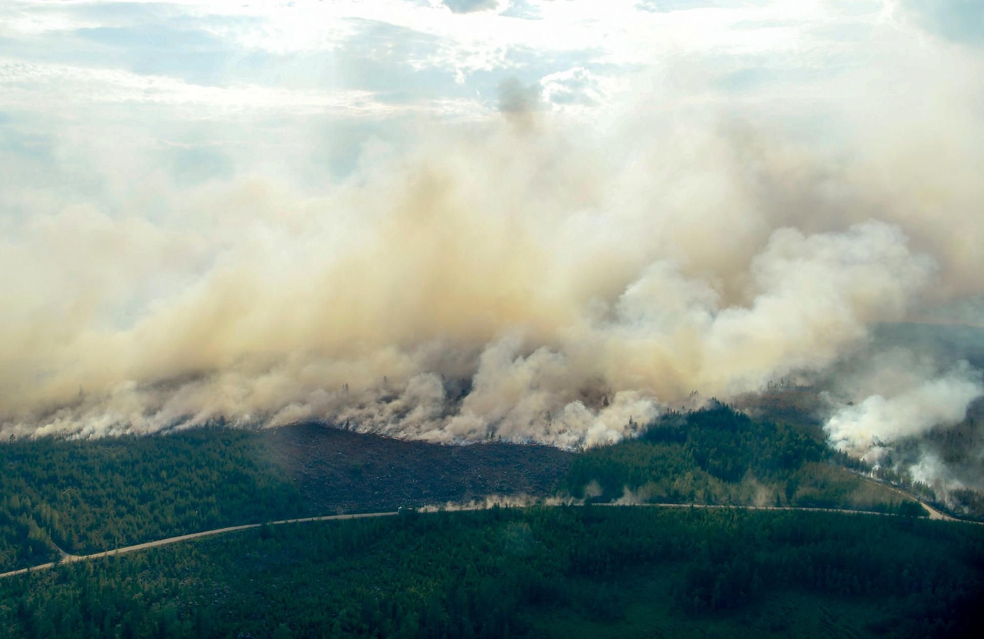 In Schweden sind große Waldbrände wegen der Sommerhitze völlig außer Kontrolle geraten.