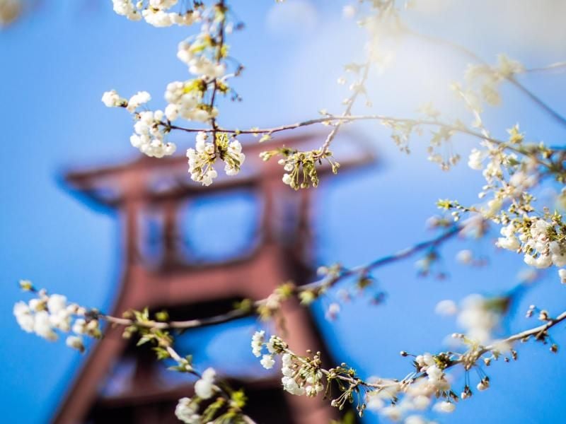 Die Welterbestätte Zeche Zollverein ist ein begehrter Ort zum Heiraten. Foto: Marcel Kusch