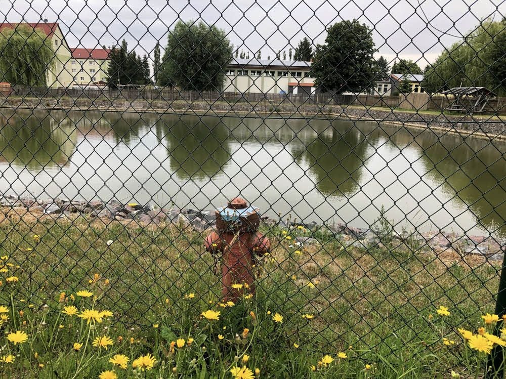 Mit dem Hayner Löschteich ist der Hydrant eingezäunt worden - zum Unverständnis der Bürger.