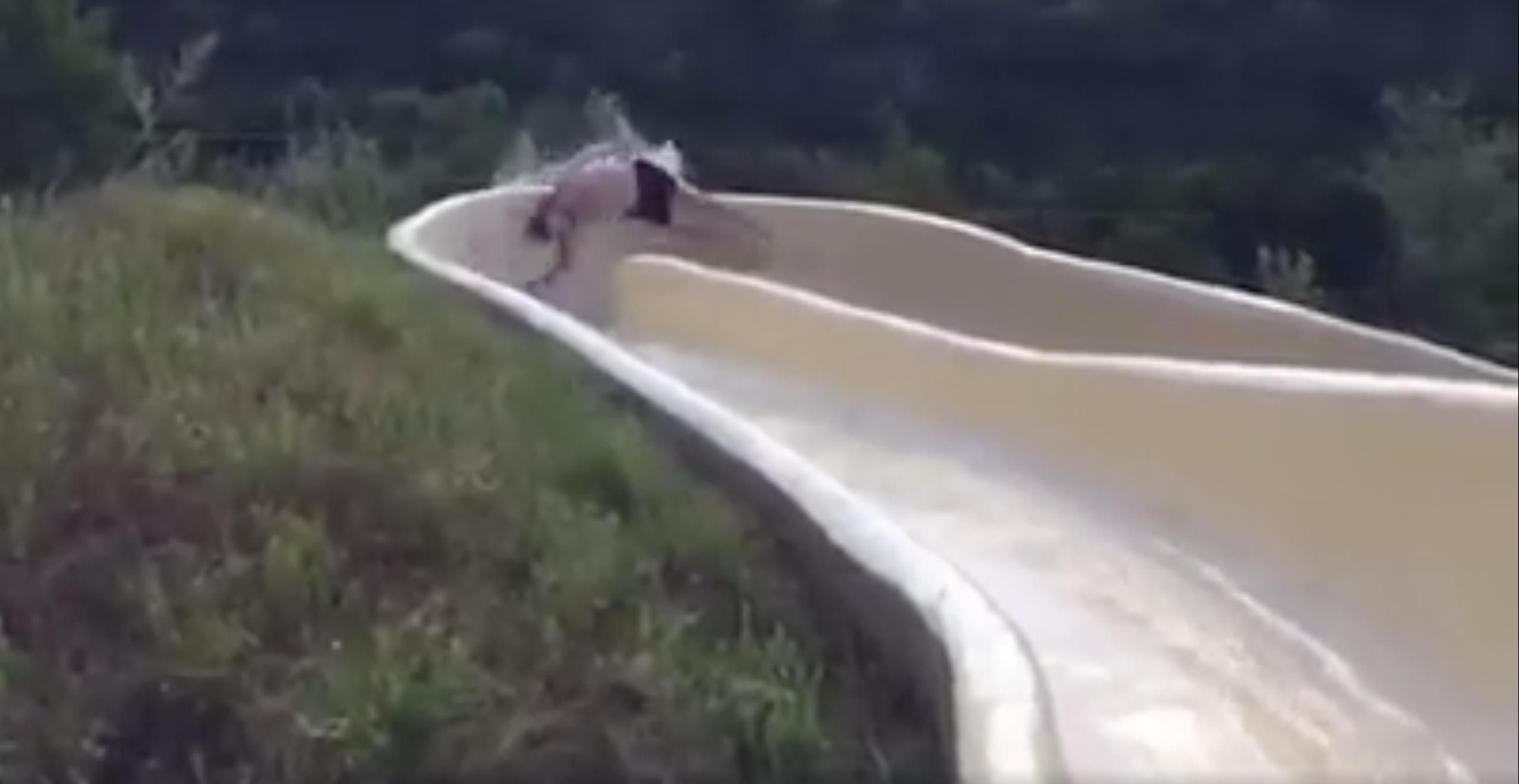 Bei dem Sturz hat sich der Amerikaner den Arm und die Rippen gebrochen.