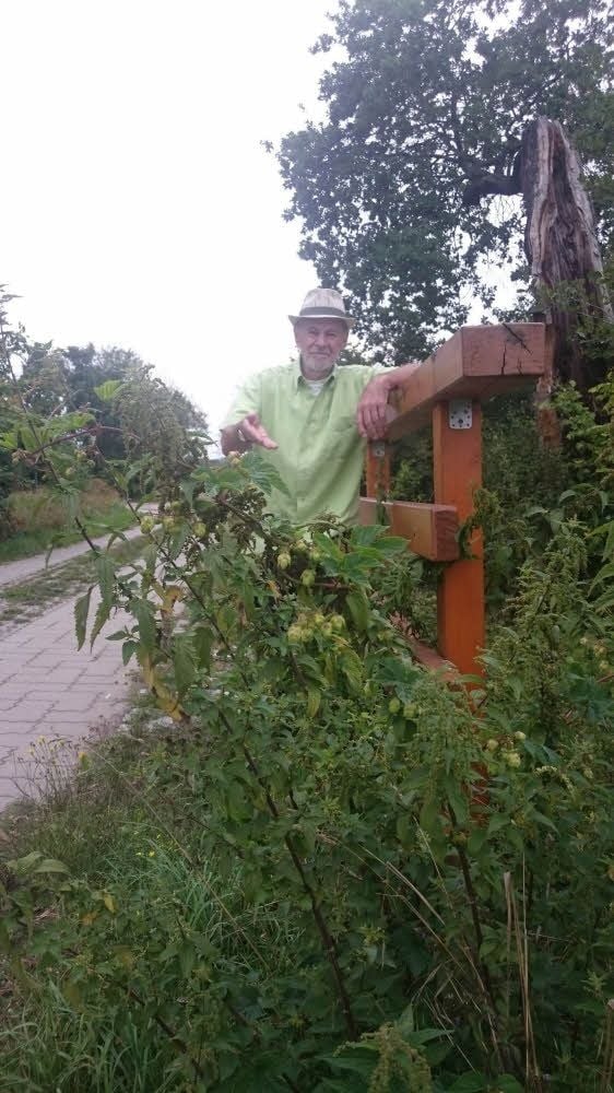 Dieter Esser fragt: „Wer ist für die Pflege des Mulderadweges zuständig?“
