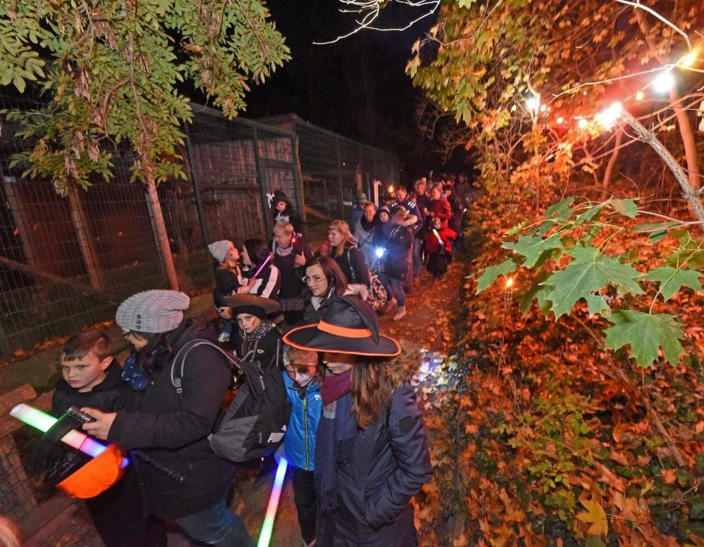 Abendlicher Zug durch die Anlage.