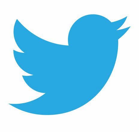 Das blaue Vögelchen ist das Logo von Twitter.