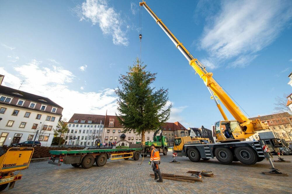 Mit Hilfe eines Kranes wurde die Fichte am Montagmorgen inmitten des Altmarkts aufgestellt. Einen klassischen Weihnachtsmarkt wird es zu ihren Füßen aber nicht geben.