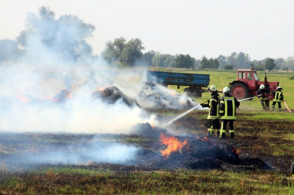 Die Feuerwehrleute, die einen Flächenbrand löschen