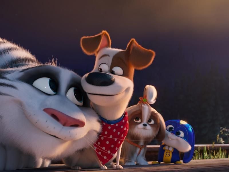 Hu, Max, Daisy und Snowball erleben ein jeweils unterschiedliches Abenteuer. Foto: Illumination Entertainment and U/Universal Pictures