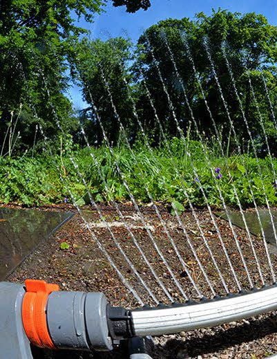 Die Pflanzen im Stadtpark müssen besonders viel gegossen werden.