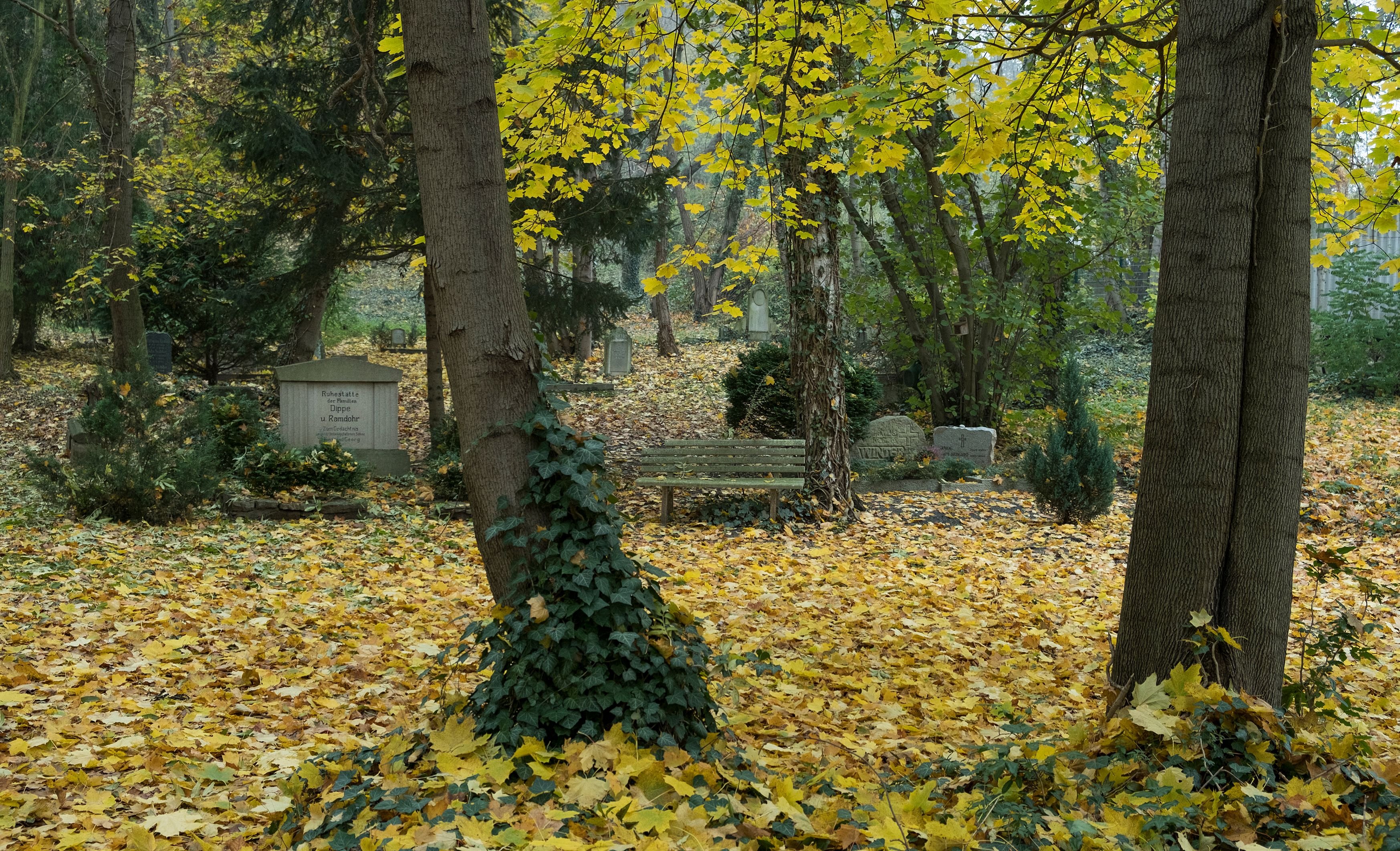 Der Blasiifriedhof in Quedlinburg soll nicht länger betrieben werden.