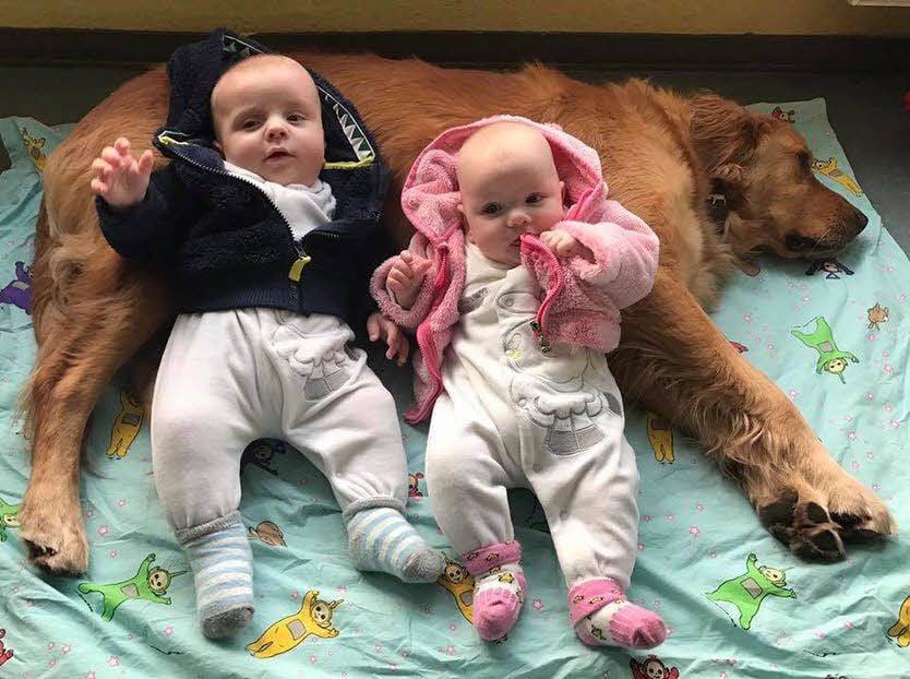 Die Zwillinge Julian und Emily Jandausch fühlen sich pudelwohl, denn Kita-Hund Balu stellt sich gern auch als Kissen zur Verfügung.
