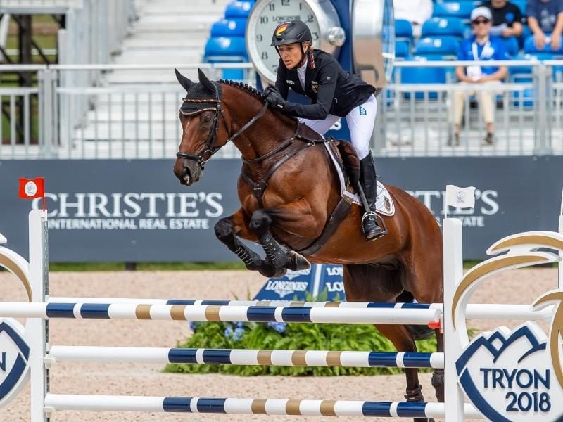 Ingrid Klimke springt mit ihrem Pferd Hale Bob über ein Hindernis. Foto: Stefan Lafrentz