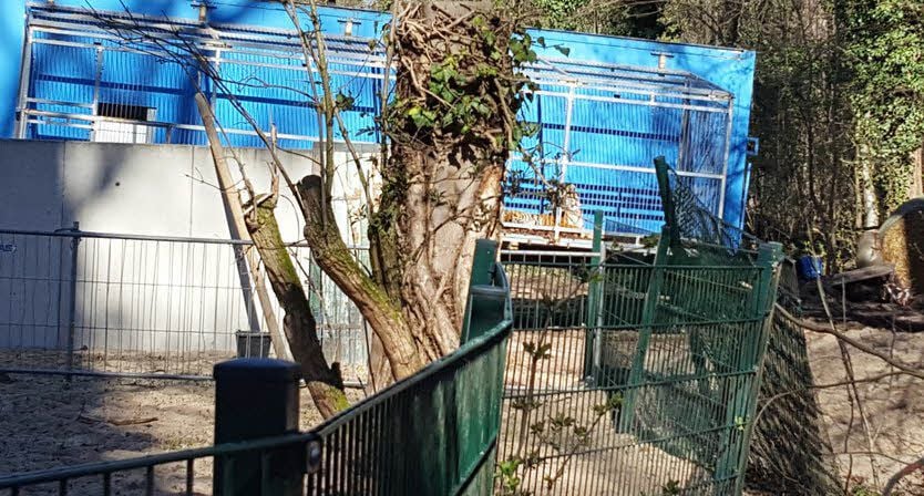 In diesem Zirkuswagen im Köthener Tierpark sind die erkrankten Tiger seit reichlich einer Woche untergebracht und werden gepflegt.