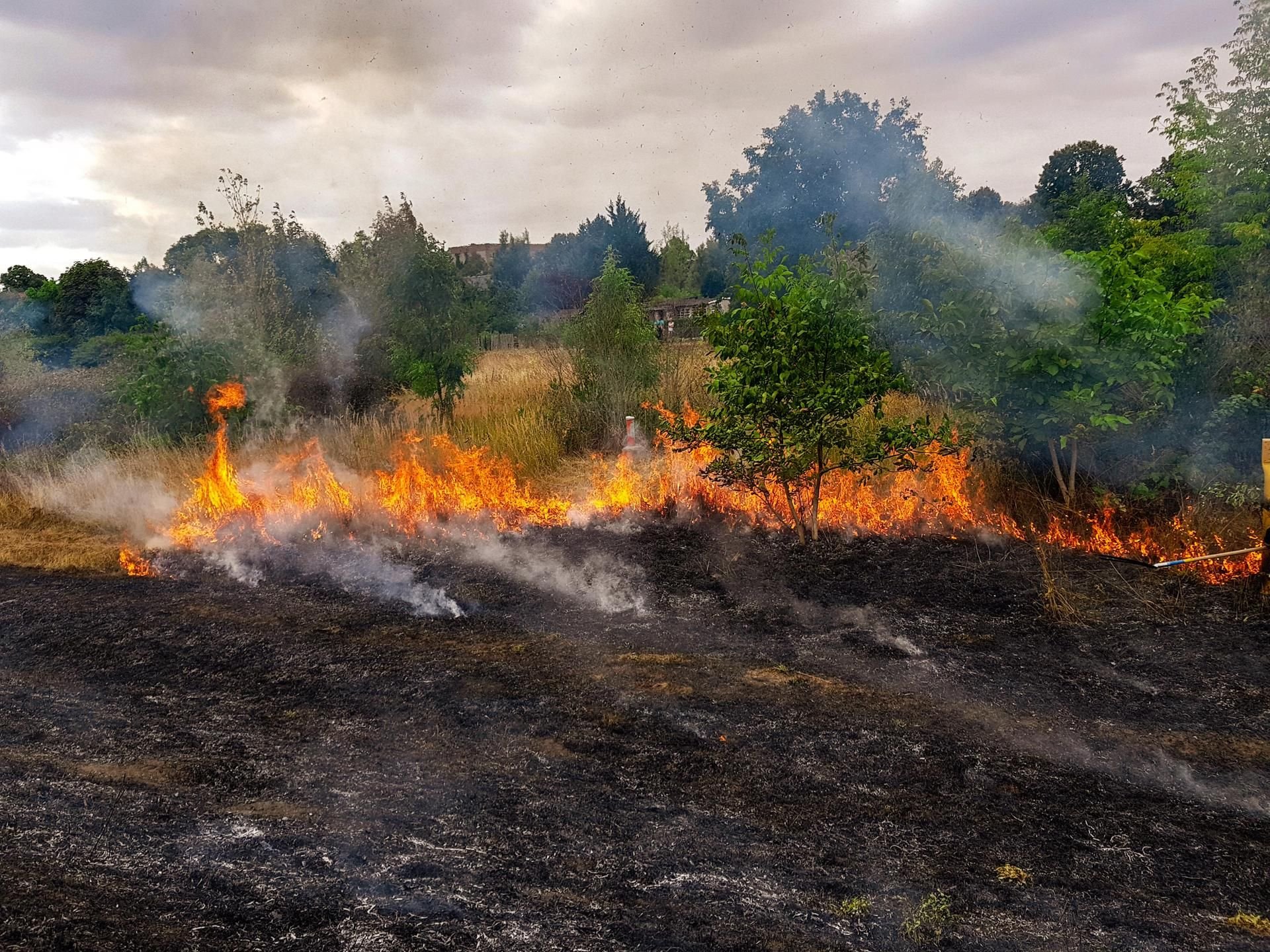 Der Wind fachte die Flammen in Bitterfeld an.