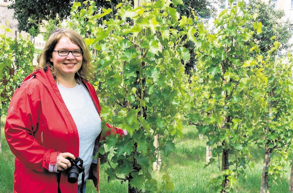 Janett Schindler in Merseburg: Der Weinberg hinterm Kunsthaus „Tiefer Keller“ erinnert sie an Paris, wo sie Ähnliches gesehen hat.