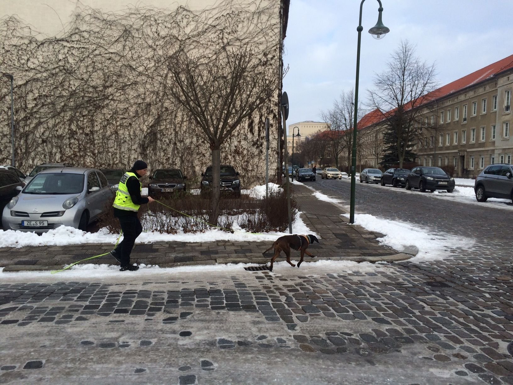 Mantrailer-Hunde suchen nach Spuren.