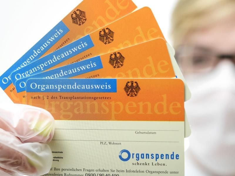 Der Anteil der Menschen in Deutschland mit einem Organspendeausweis ist auf mehr als ein Drittel angestiegen. Foto: David Ebener