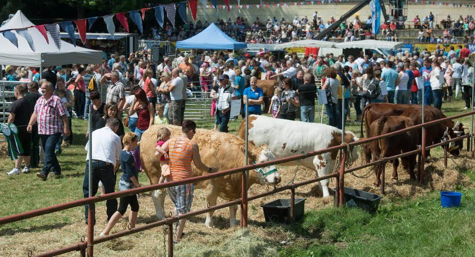 Tausende Besucher werden wieder zum Landwirtschaftsfest in Reinstedt erwartet.
