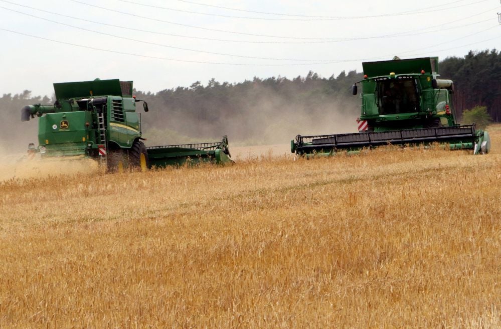 Die Getreideernte hat begonnen. Zuerst ist die Wintergerste an der Reihe. Die beiden Mähdrescher der Agrargenossenschaft Holzdorf drehen an der Straße zwischen Schweinitz und Annaburg ihre Runden.