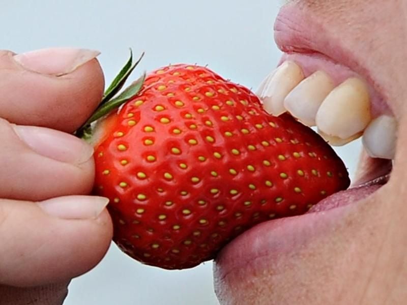 Wer im nächsten Jahr selbst geerntete Erdbeeren naschen will, muss die neuen Pflanzen bis Anfang August in die Erde bringen. Foto: Daniel Bockwoldt/dpa