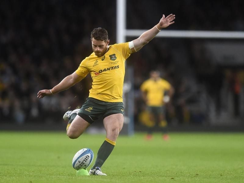 Die Rugby Championship findet in diesem Jahr in Australien statt. Foto: Will Oliver/EPA/dpa