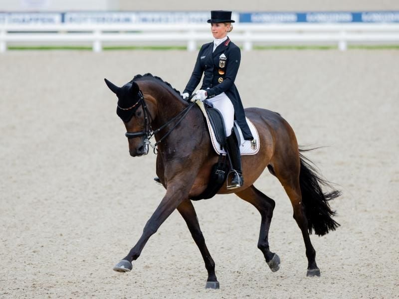 Jessica von Bredow-Werndl erhielt für den Grand Prix mit Dalera in Rotterdam 76,894 Prozent. Foto: Rolf Vennenbernd