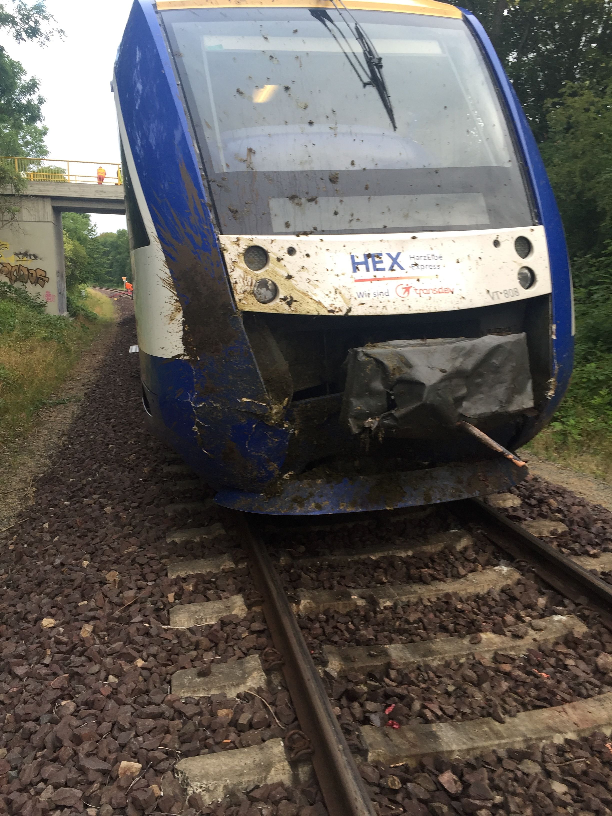 Der HEX-Triebwagen steht nach dem Zusammenprall mit einer Kuhherde wieder auf dem Gleis bei Drübeck (Landkreis Harz)