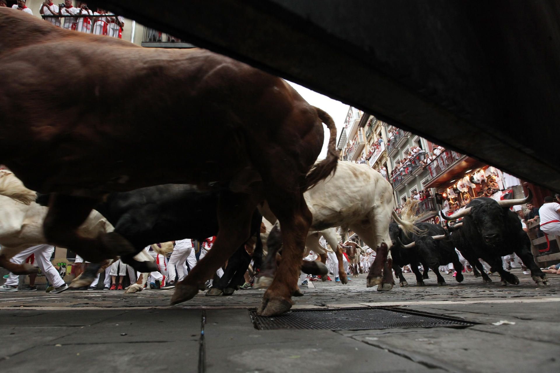 Stierläufer mit roten Halstüchern und roten Schärpen rennen während des San Fermin Festivals mit den Tieren mit.