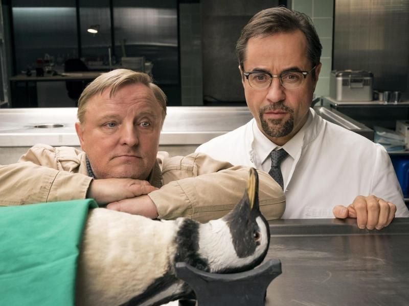 Ein Pinguin in der Rechtsmedizin bei Kommissar Frank Thiel (Axel Prahl, l) und Prof. Boerne (Jan Josef Liefers). Foto: Thomas Kost/WDR/ARD