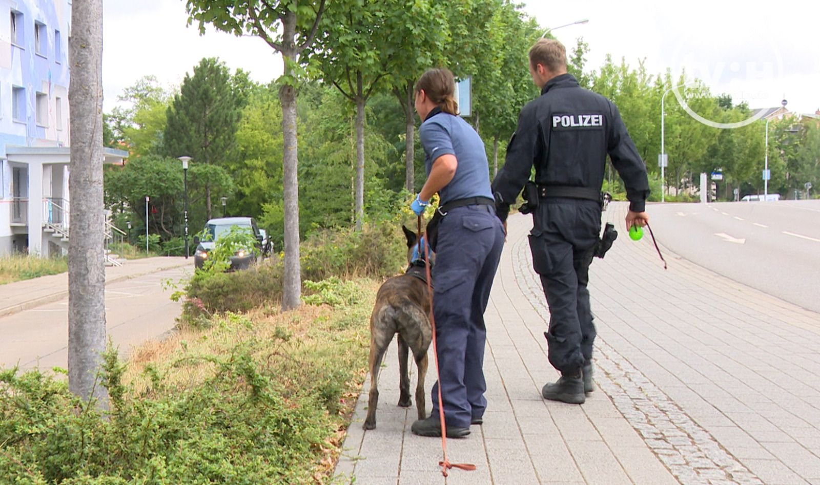 Mord-Ermittlungen in der südlichen Innenstadt: Die Polizei sicherte Spuren in der Professor-Friedrich-Hoffmann-Straße. Nur wenige Meter entfernt liegt das Haus in der Voßstraße, in dem eine 18-Jährige getötet worden sein soll. Verdächtigt wird ein 30-jähriger Afghane.