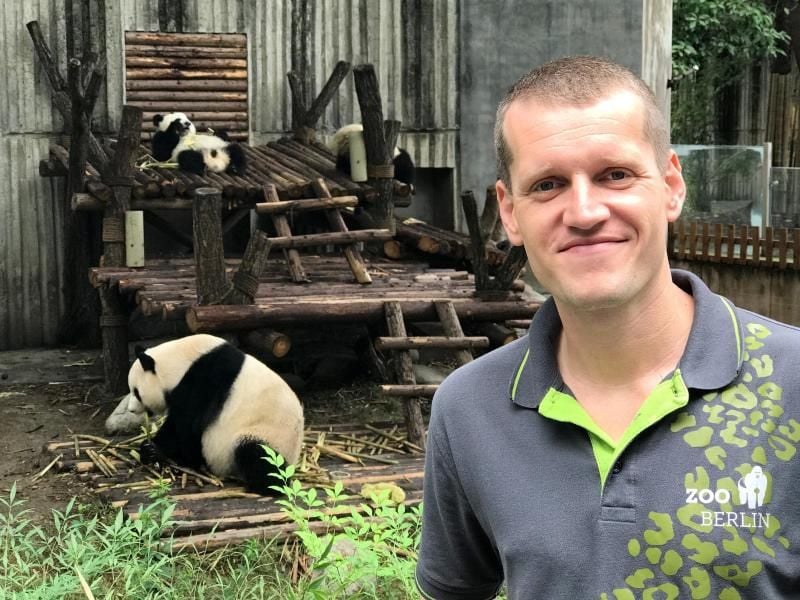 Der Berliner Tierpfleger Christian Toll in der Zuchtstation in Chengdu vor einem Pandagehege. Foto: Andreas Landwehr/Archiv