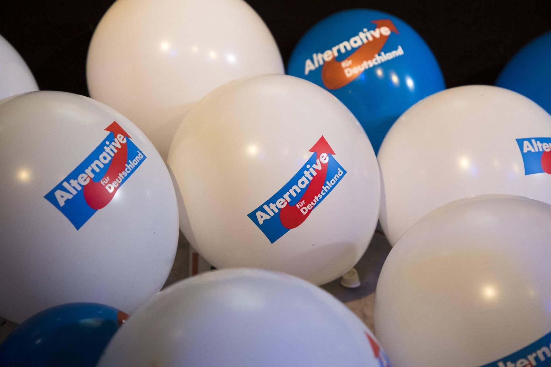 Sachsen-Anhalts AfD hat mit einer Abstimmungspanne im Landtag bundesweit für Lacher gesorgt. (Symbolbild)