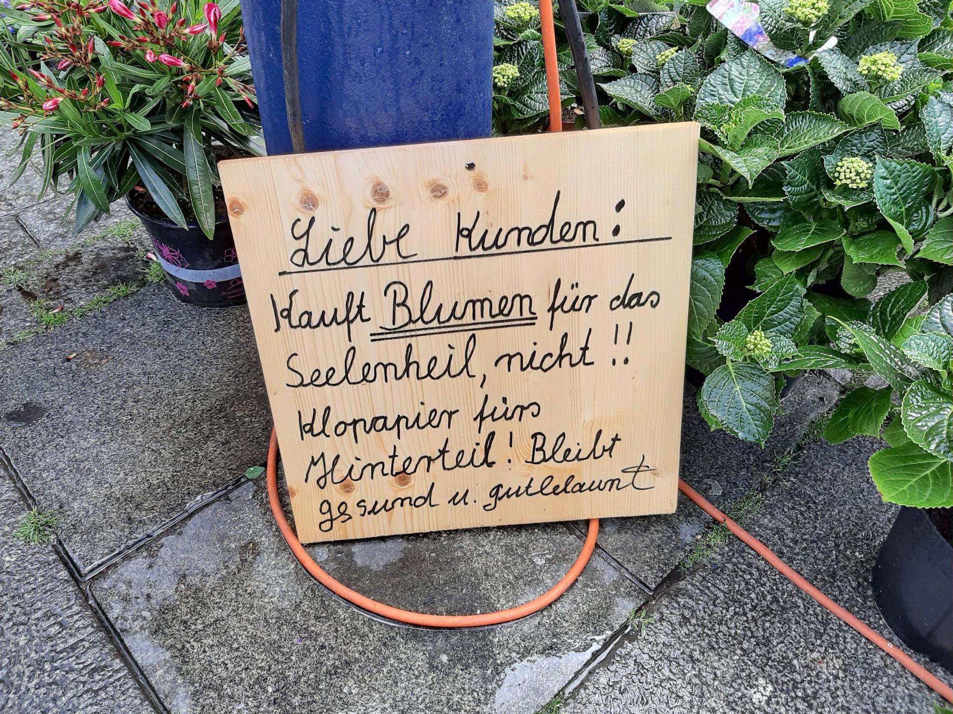 Humorvoller Corona-Appell an einem Blumenstand auf einem Wochenmarkt.