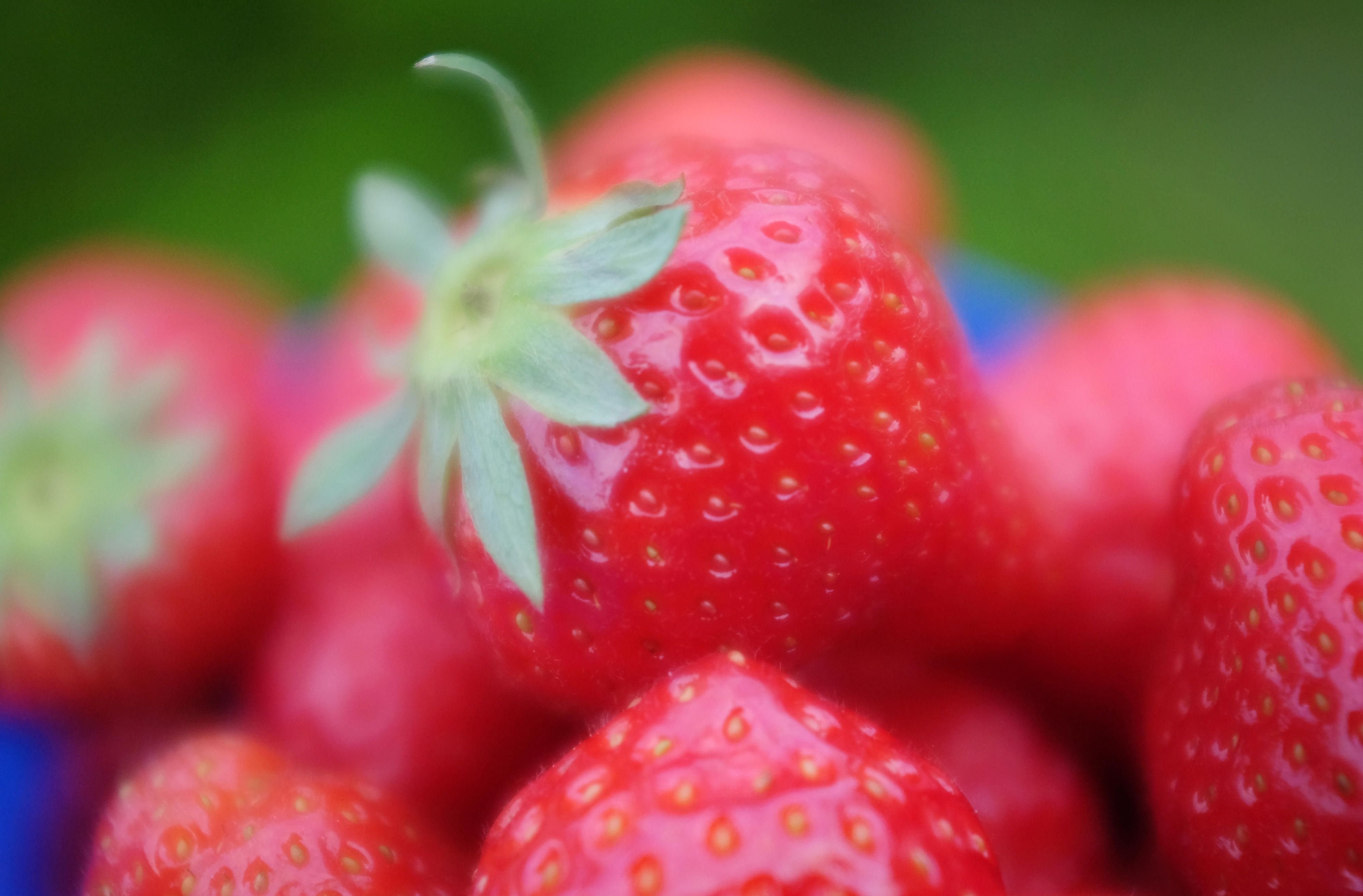 Frische Erdbeeren liegen in einer Schale.