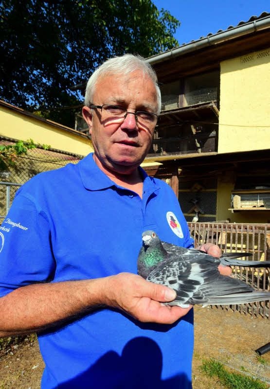 Joachim Röhl aus Tagewerben züchtet seit Jahrzehnten Tauben.