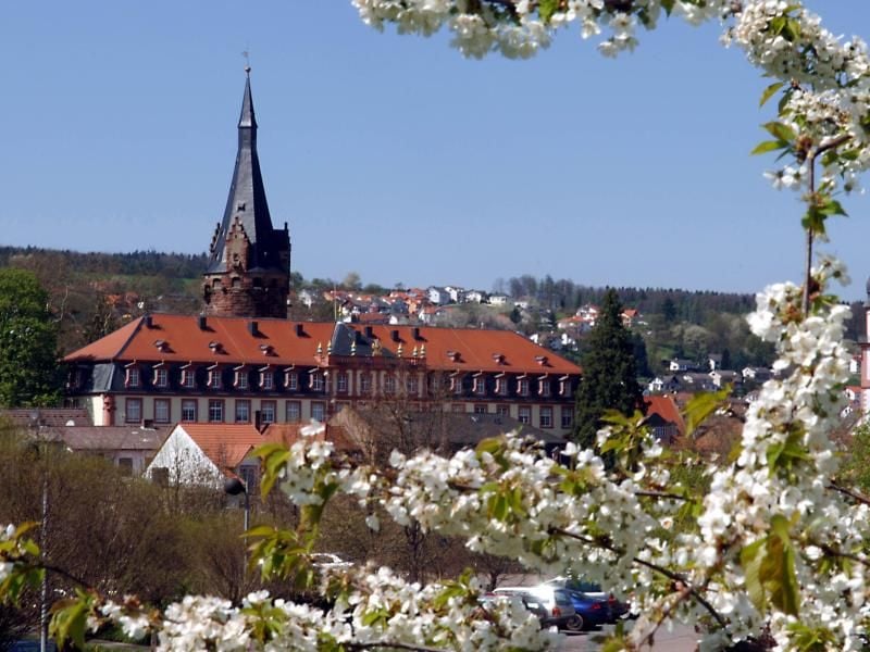 Das Schloss in Erbach (Hessen) im Odenwald. Foto: Werner Baum/Archiv