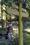 Ein Wegweiser des Harzklub für verschiedene Wanderwege steht am  in der Nähe von Altenau im Oberharz (Niedersachsen).