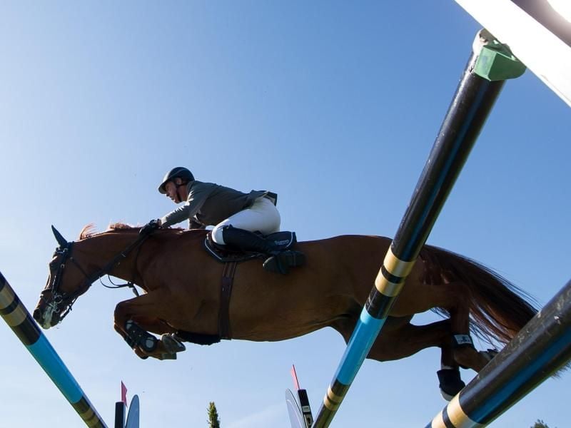 Ludger Beerbaum wird Sattel von Casello in Cannes Achter. Foto: Lukas Schulze