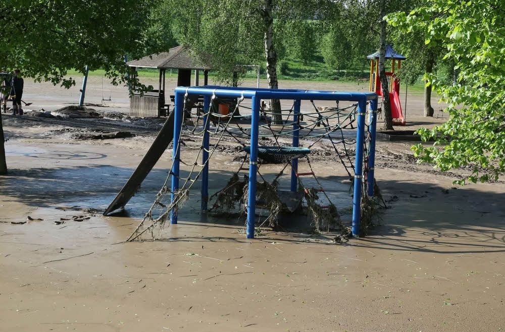 In den Seilen des Klettergerüstes auf dem Dederstedter Spielplatz hatte sich allerhand Gestrüpp gefangen.
