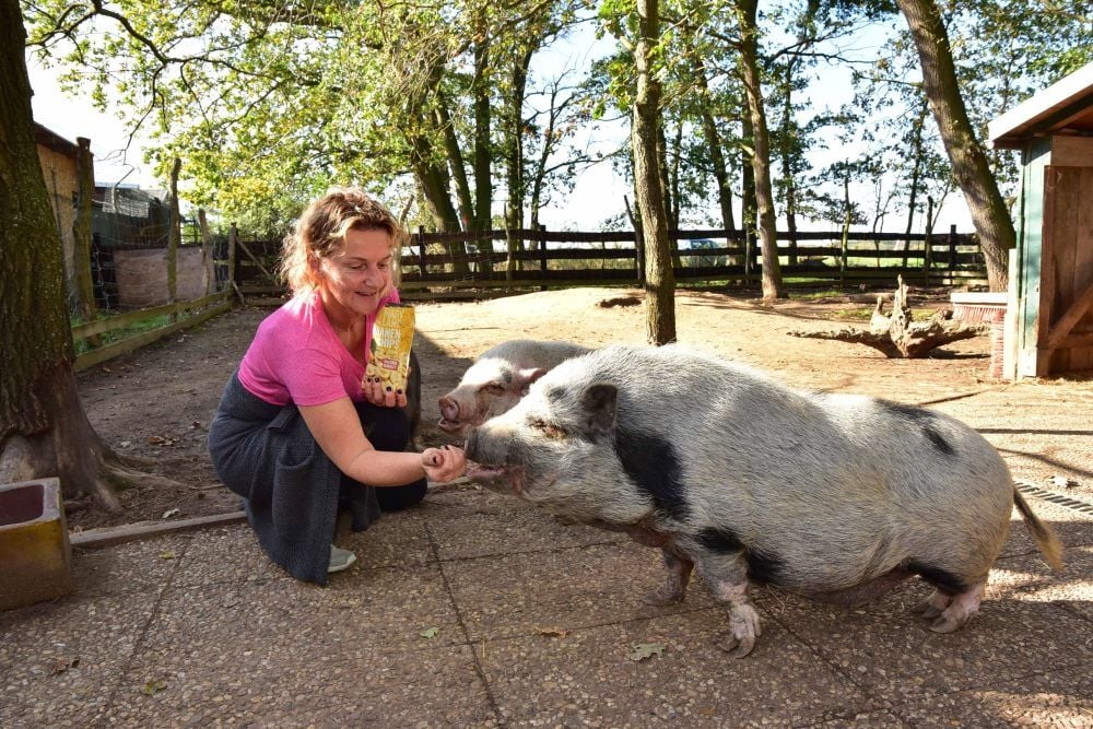 Vereinsmitglied Ramona Nettlau kümmert sich um die vier Hängebauchschweine