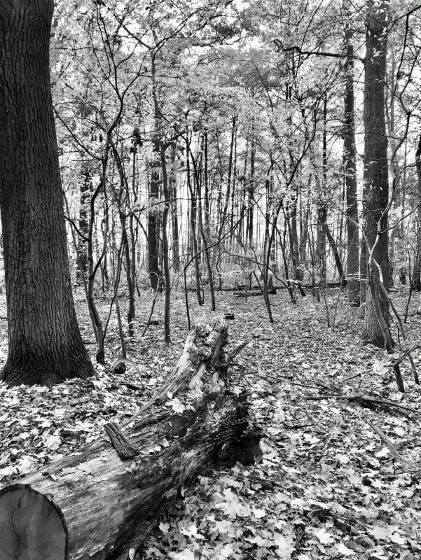 Herbstlandschaft in Brandenburg