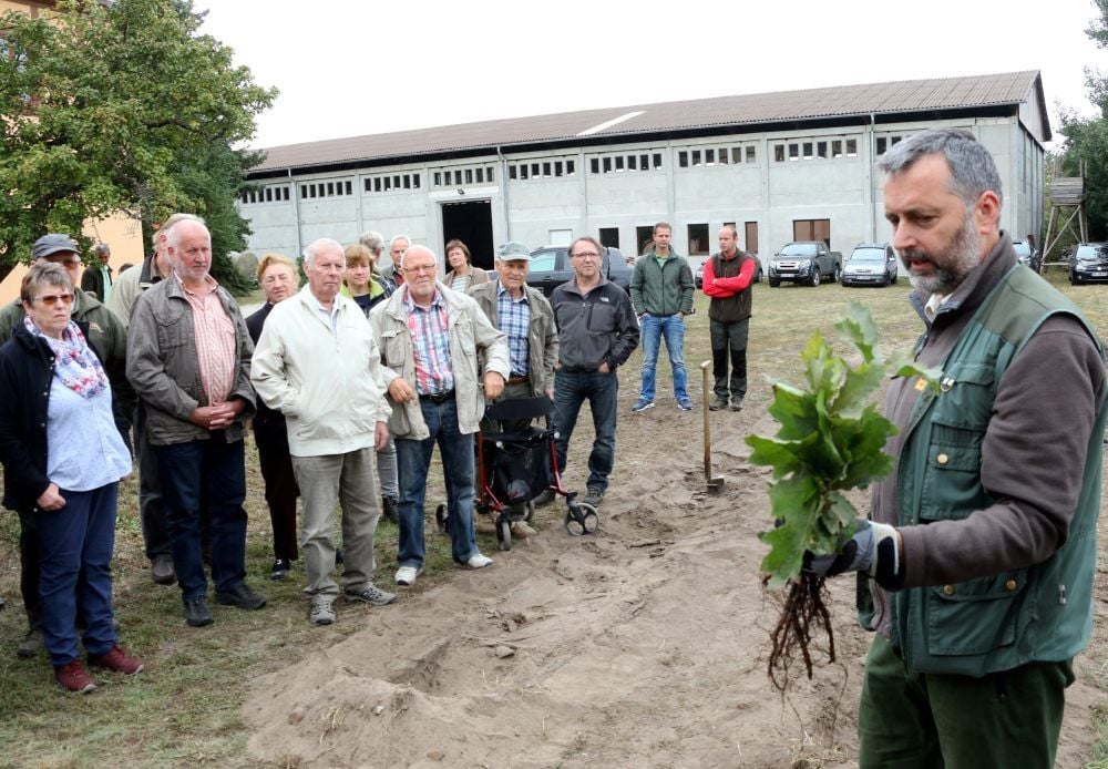 Oliver Fischer von den Forstbaumschulen Fürst Pückler in Bad Liebenwerda gibt Ratschläge zu Laub- und Nadelbäumen, die auf abgeholzten Flächen in die Erde kommen könnten.