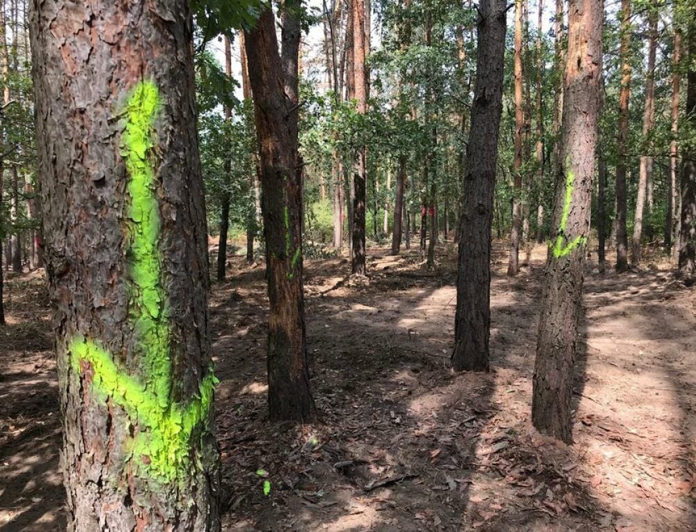 Bei Alten im Wald wurde die Leiche des 19-Jährigen gefunden.
