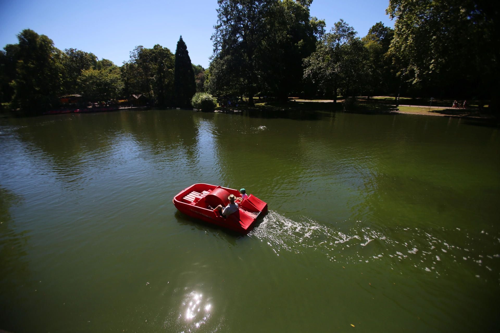 Der Tretboot-Fahrer war schnell unterwegs. (Symbolbild)