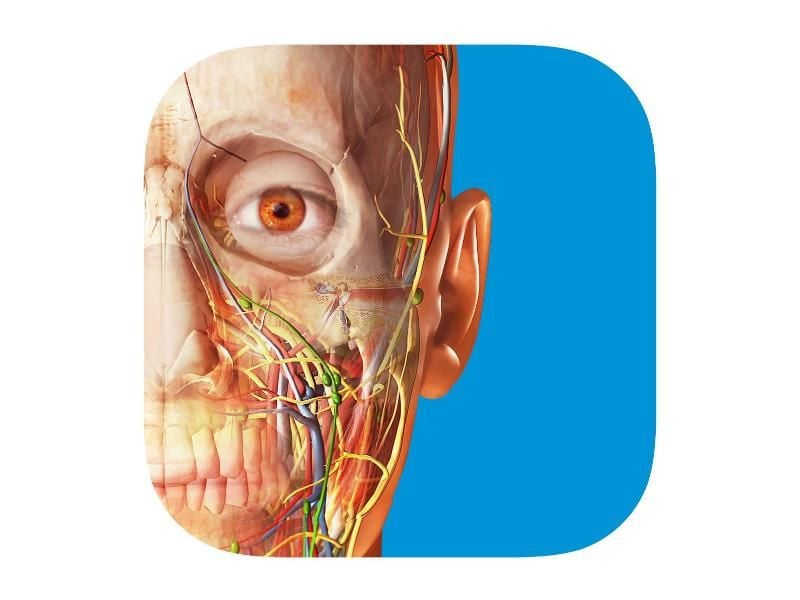 Im „Atlas der menschlichen Anatomie” finden Nutzer alles über den menschlichen Körper. Foto: App-Store von Apple/dpa
